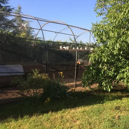 Giulia Apartman Avezzano