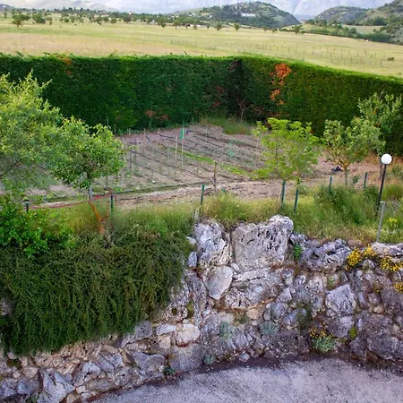 Giulia アヴェッツァーノ