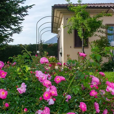 Apartment Giulia *
