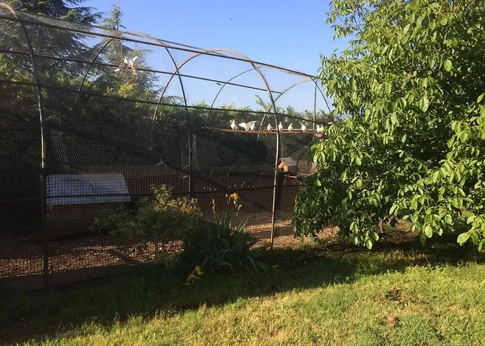 Giulia Apartment Avezzano